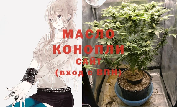 прущие крисы Вяземский