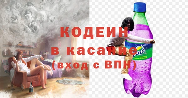 ПСИЛОЦИБИНОВЫЕ ГРИБЫ Горняк
