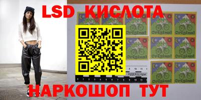 гидропоника Донской