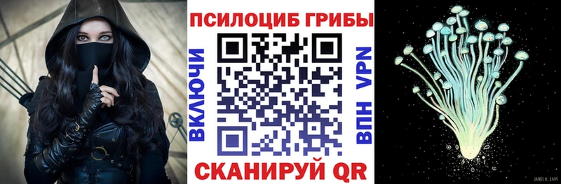 закладка  Муром  Псилоцибиновые грибы прущие грибы 