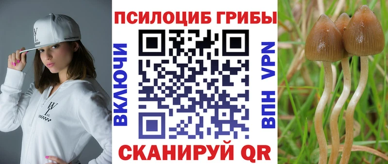 Псилоцибиновые грибы мицелий Муром