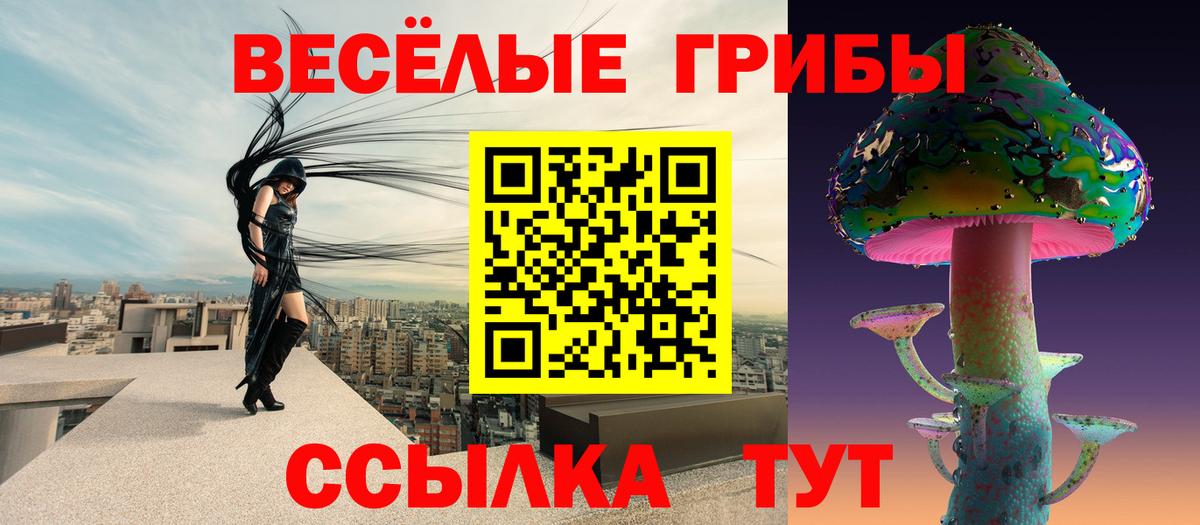 Галлюциногенные грибы Magic Shrooms  Вход с VPN  Муром 